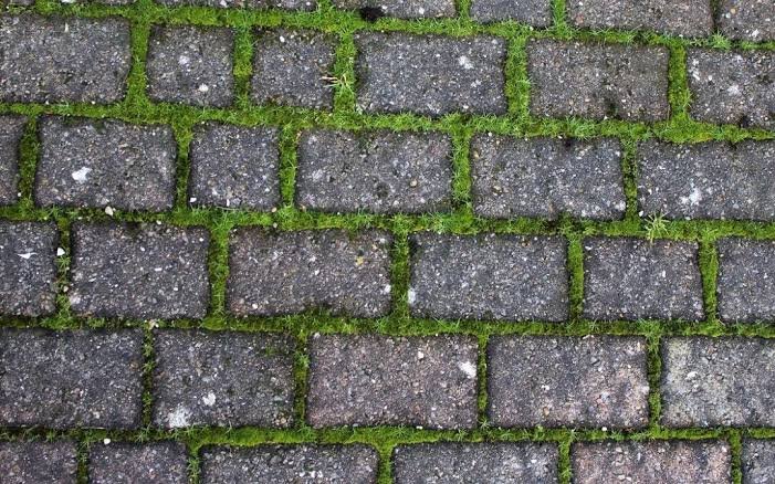 Remove Moss from Concrete Driveway
